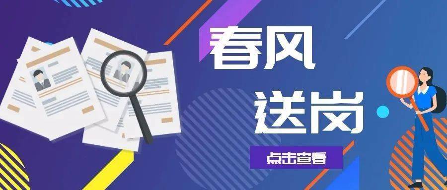 浙江余姚最新招聘信息全面解析与观点论述